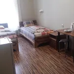 酒店 萨宾娜酒店 里加